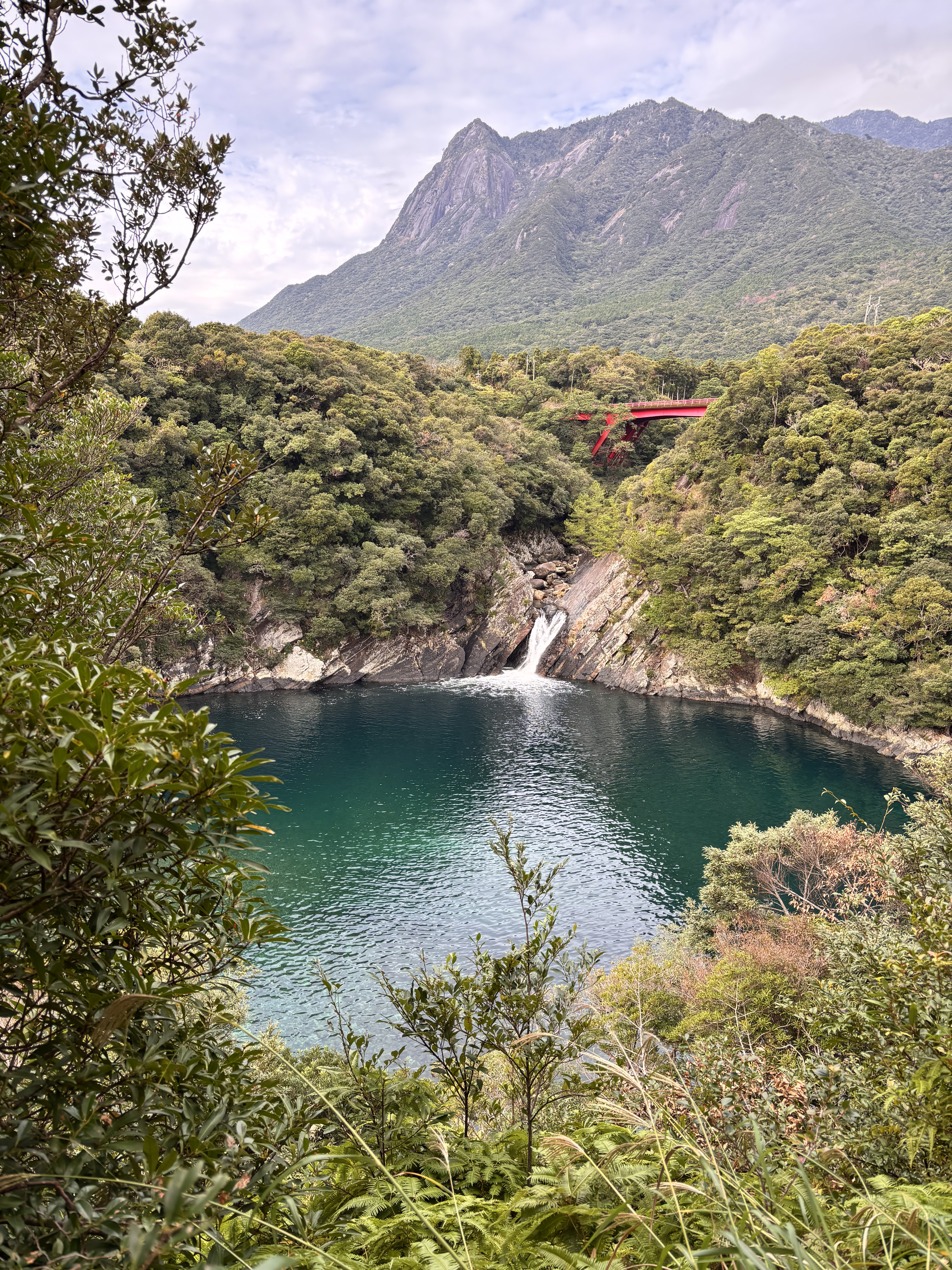 年末シェア旅】スタッフ体験レポート ～屋久島4日間～