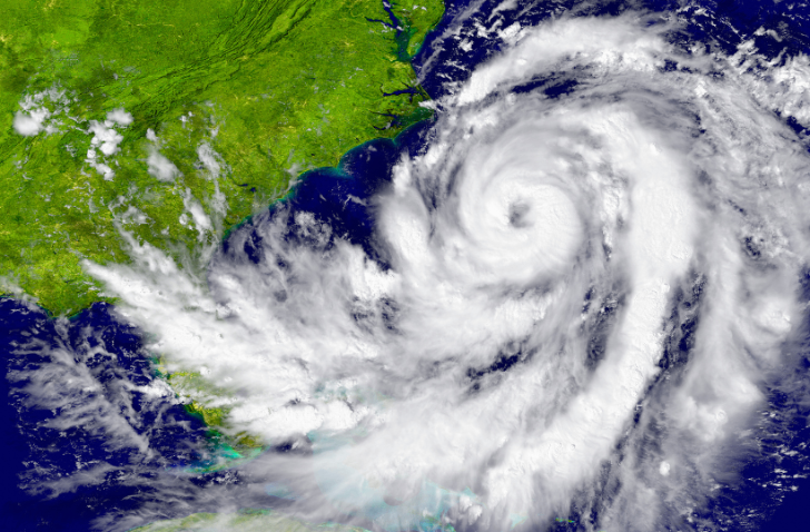 世界自然遺産 小笠原 父島 6日間