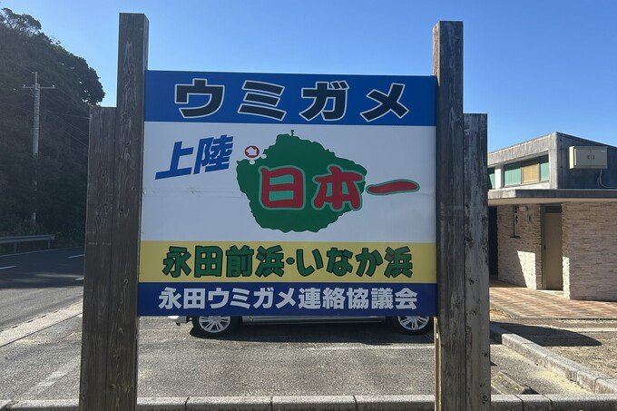 2026年10月最新】屋久島・永田いなか浜の歴史と絶景
