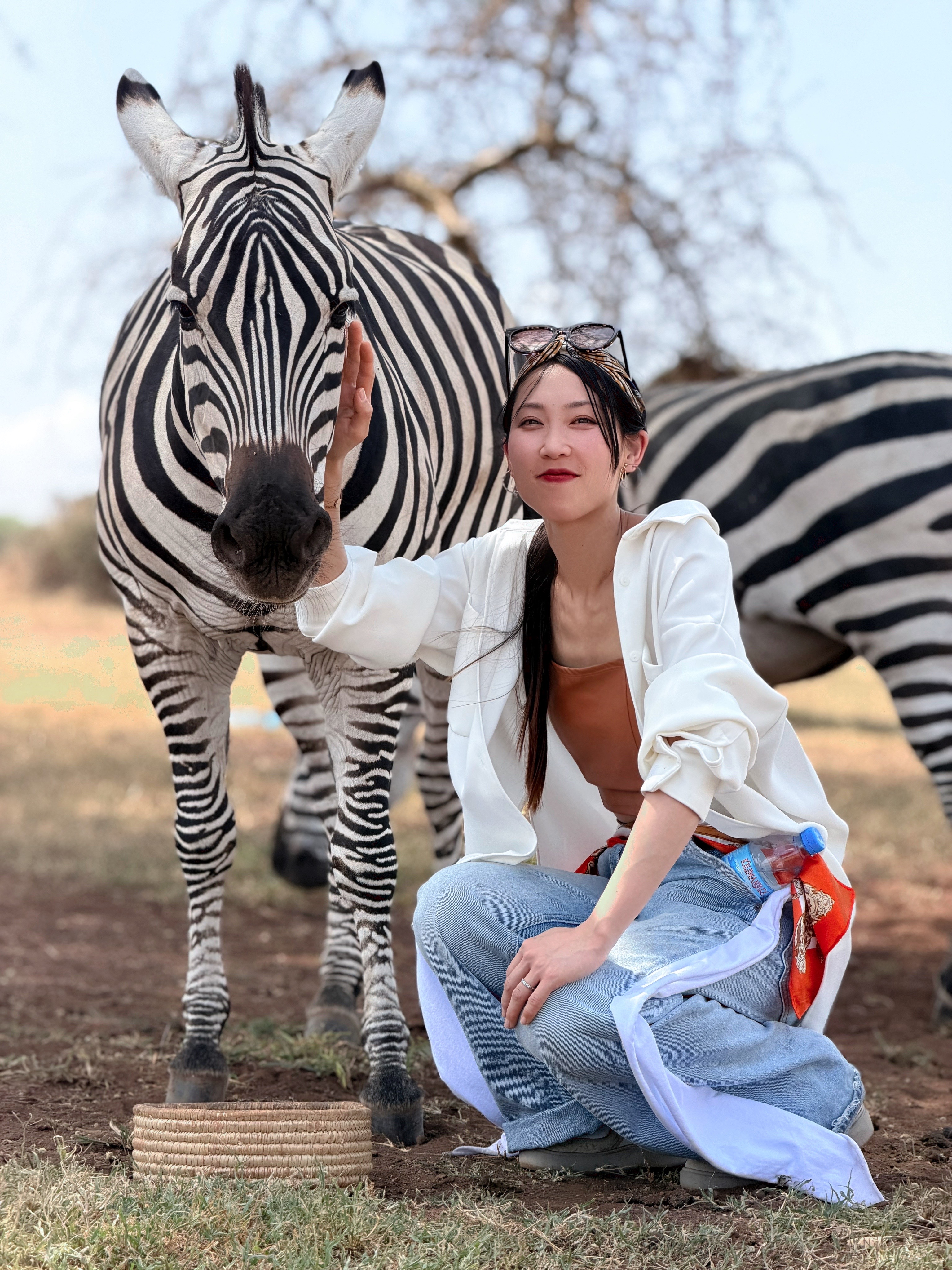 野生動物サファリとアフリカ最高峰大展望！タンザニア・ケニア周遊 7 日間