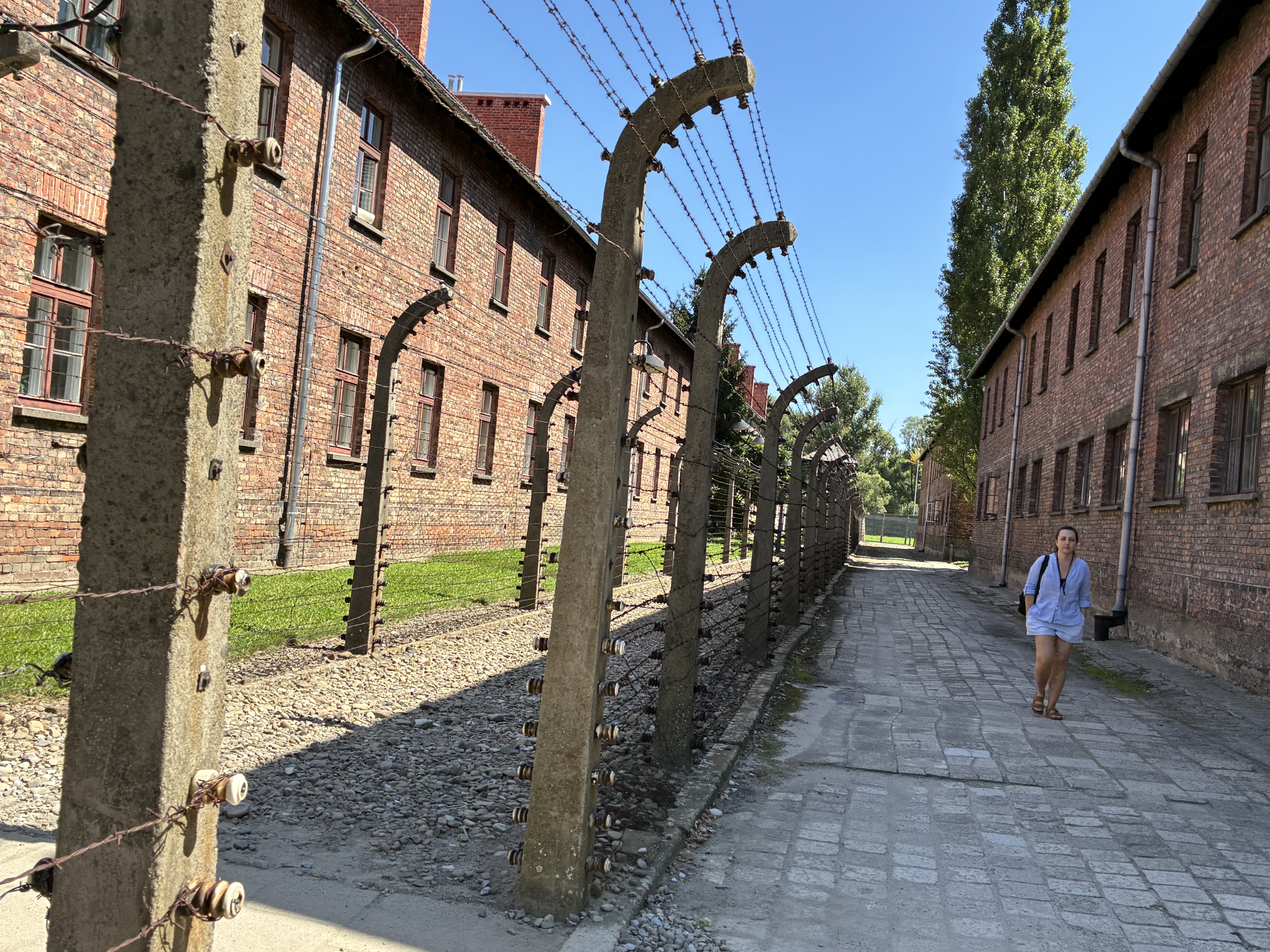 みんなのツアー体験談