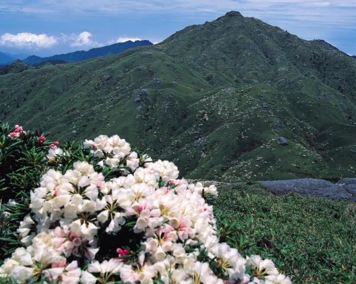 宮之浦岳縦走コース