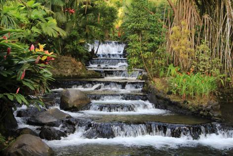 驚きと感動のコスタリカ紀行 8 日間