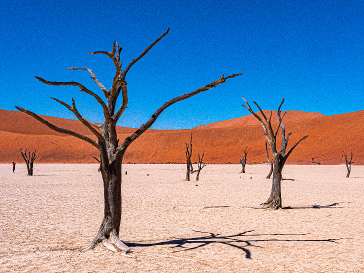 ナミブ砂漠冒険紀行 7 日間