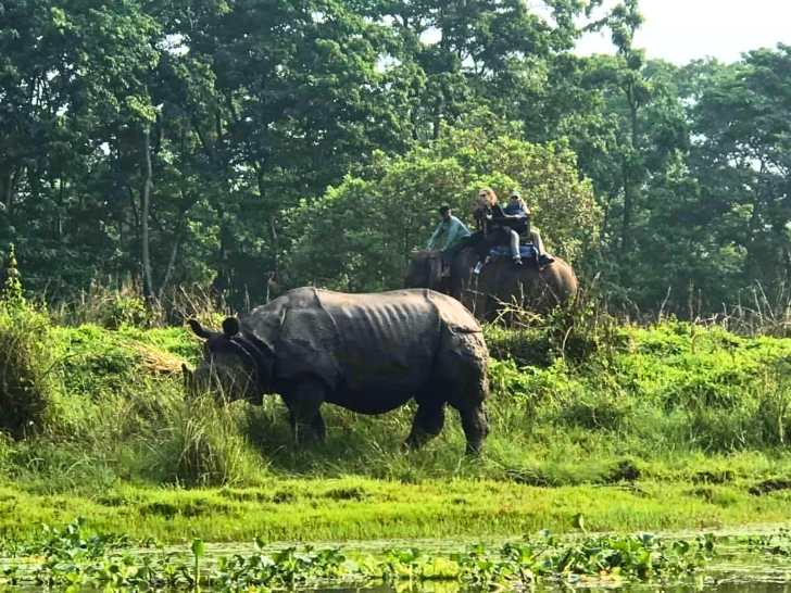 ネパールハイライト 8 日間